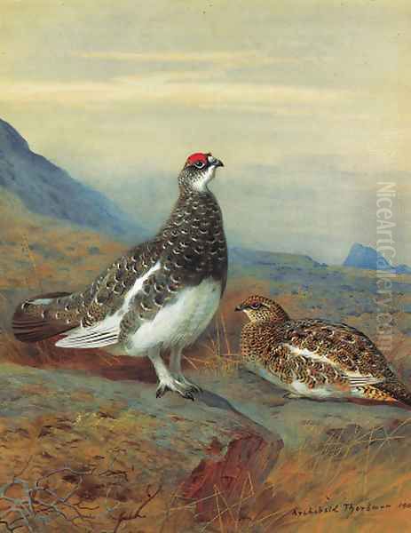 Ptarmigan in summer plumage Oil Painting by Archibald Thorburn