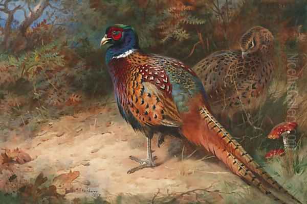 A Cock and Hen Pheasant Oil Painting by Archibald Thorburn