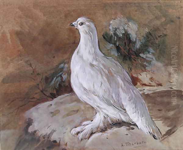 A Ptarmigan resting Oil Painting by Archibald Thorburn