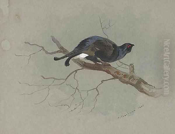 Black grouse in a tree Oil Painting by Archibald Thorburn