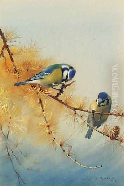 Blue Tits on the branch of a fir tree Oil Painting by Archibald Thorburn