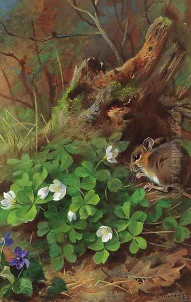 Woodmouse and wood sorrel Oil Painting by Archibald Thorburn