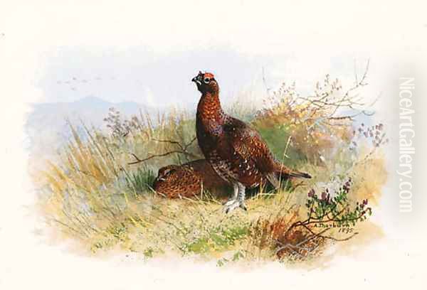 A Pair of Red Grouse Oil Painting by Archibald Thorburn