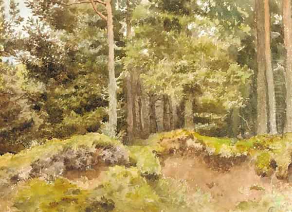 An Essex wood Oil Painting by Archibald Thorburn