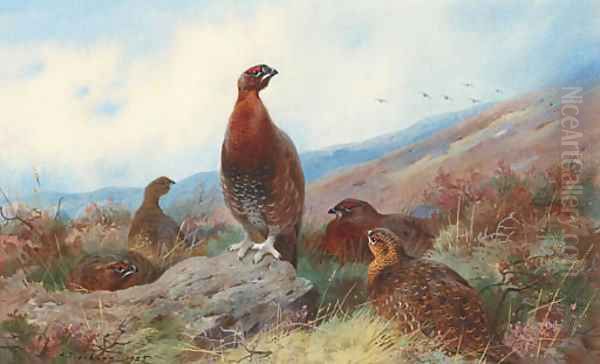 A Covey of Red Grouse on a Moor Oil Painting by Archibald Thorburn