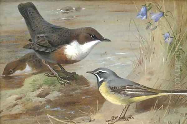 Dippers and a grey wagtail on the bank of a stream Oil Painting by Archibald Thorburn