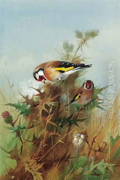 Goldfinches on thistledown Oil Painting by Archibald Thorburn