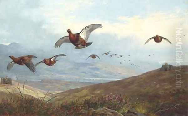 Grouse shooting Oil Painting by Archibald Thorburn