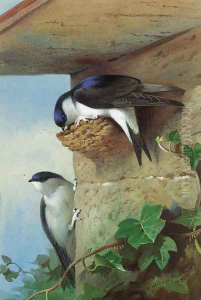 House martins, on a nest beneath the eves Oil Painting by Archibald Thorburn