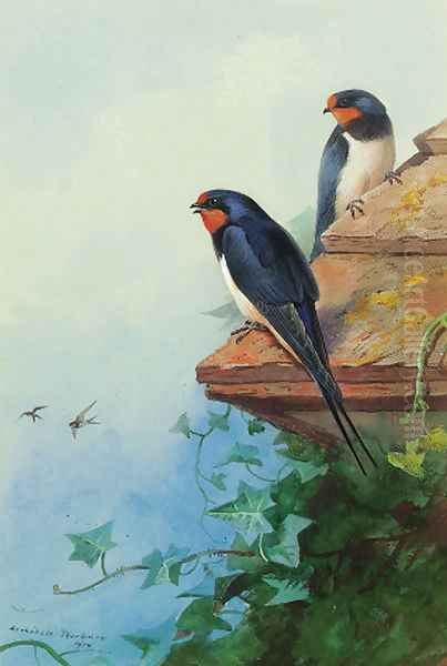 Swallows on an ivy-covered roof Oil Painting by Archibald Thorburn