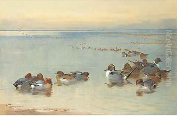 Teal and Widgeon Oil Painting by Archibald Thorburn