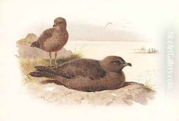 Twisted-tailed skua Lestris Pomarinus Oil Painting by Archibald Thorburn