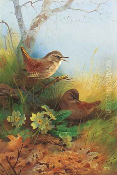 Two wrens amongst primroses Oil Painting by Archibald Thorburn