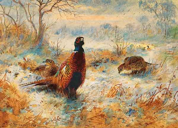 Frost at Sunrise Pheasant amongst bracken Oil Painting by Archibald Thorburn