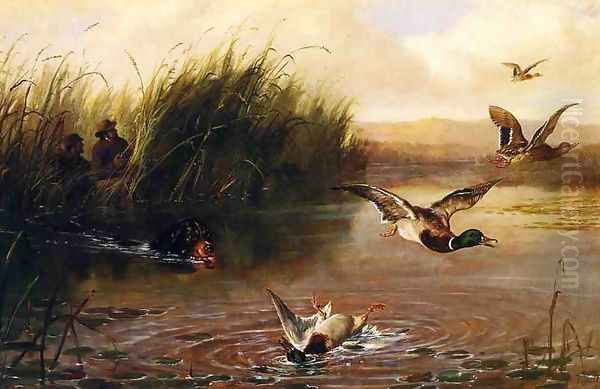 Duck Shooting Oil Painting by Arthur Fitzwilliam Tait