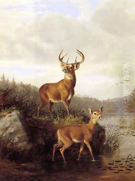 Buck and Doe Oil Painting by Arthur Fitzwilliam Tait