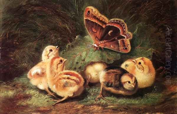 Young Chickens Oil Painting by Arthur Fitzwilliam Tait