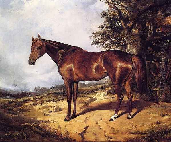 Thoroughbred Oil Painting by Arthur Fitzwilliam Tait