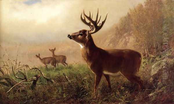 A Tempting Shot Oil Painting by Arthur Fitzwilliam Tait