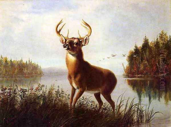 Eight Point Stag Oil Painting by Arthur Fitzwilliam Tait