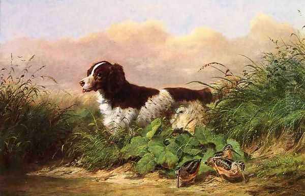 Setter and Woodcock Oil Painting by Arthur Fitzwilliam Tait