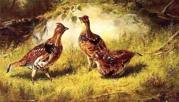 Ruffed Grouse Oil Painting by Arthur Fitzwilliam Tait