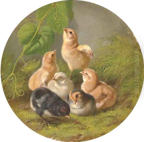 Chicks Oil Painting by Arthur Fitzwilliam Tait