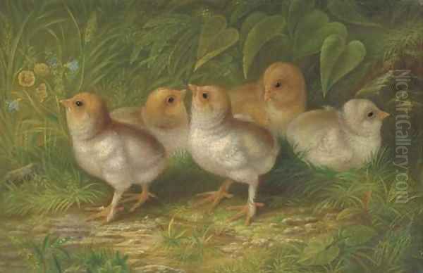 Expecting Chicks Oil Painting by Arthur Fitzwilliam Tait