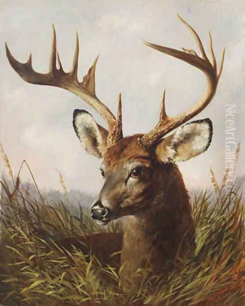 The Stag Oil Painting by Arthur Fitzwilliam Tait