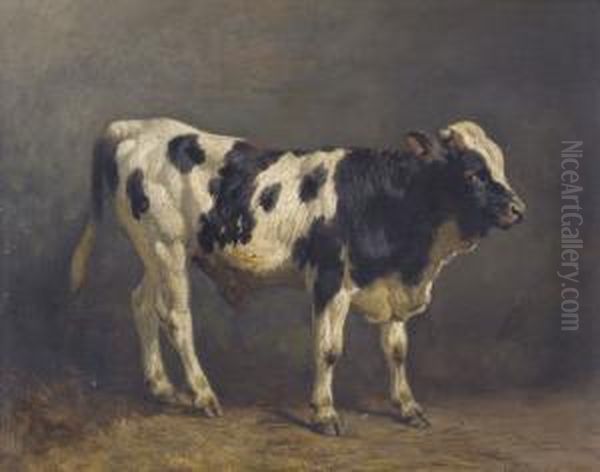 Junger Stier Oil Painting by Friedrich Johann Voltz