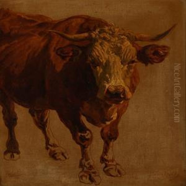 A Bull Oil Painting by Friedrich Johann Voltz