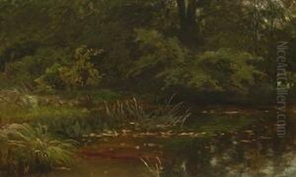 Waldteich. Oil Painting by Friedrich Johann Voltz