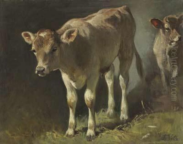 Zwei Kalber Oil Painting by Friedrich Johann Voltz