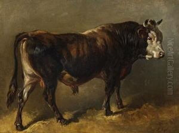 Stier. Oil Painting by Friedrich Johann Voltz