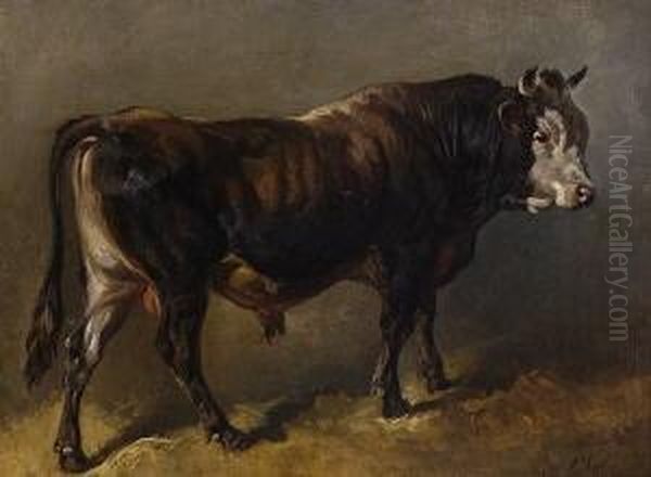 Stier Oil Painting by Friedrich Johann Voltz