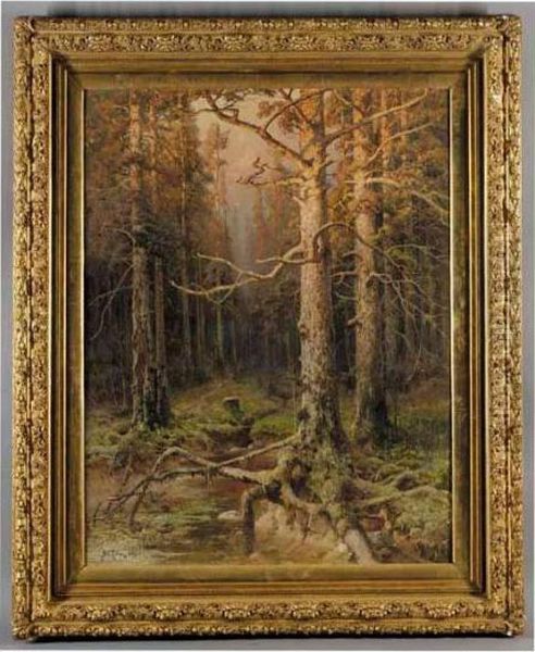 Forest Landscape Oil Painting by Iulii Iul'evich (Julius) Klever