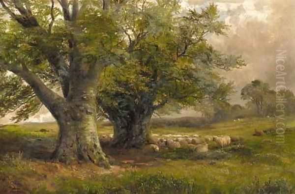 Beech Trees near Ingleby, Derbyshire Oil Painting by George Turner