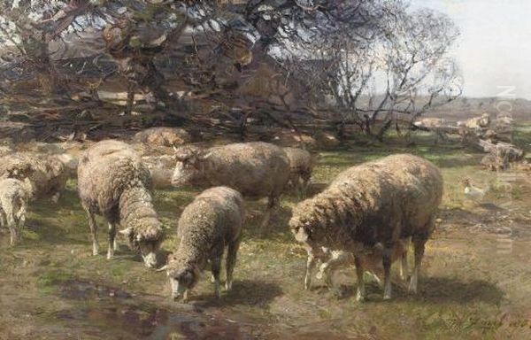 Sonniger Marzmorgen: Sheep Grazing Near A Farm Oil Painting by Heinrich Johann Von Zugel