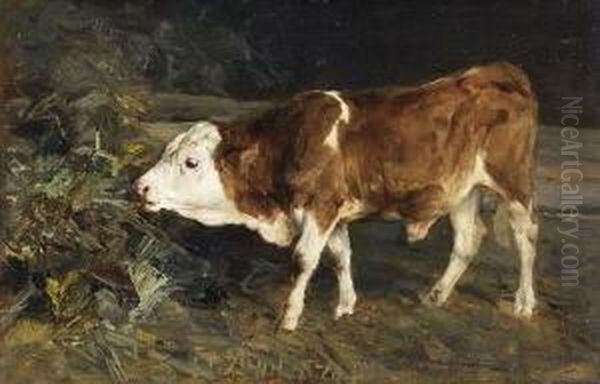 Junger Bulle Auf Einer
 Wiese Oil Painting by Heinrich Johann Von Zugel