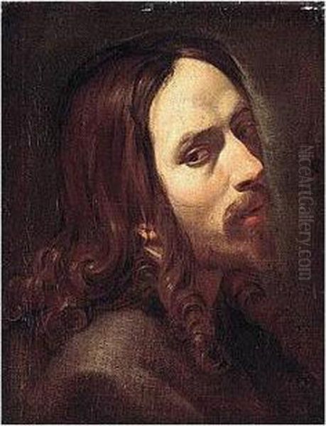 A Study Of A Bearded Man, Head And Shoulders Oil Painting by Aubin Vouet