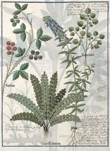 Ferns, Brambles and Flowers, Illustration from the Book of Simple Medicines by Mattheaus Platearius d.c.1161 c.1470 Oil Painting by Robinet Testard