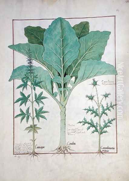 Cannabis, Brassica and Thistle, Illustration from the Book of Simple Medicines by Mattheaus Platearius d.c.1161 c.1470 Oil Painting by Robinet Testard