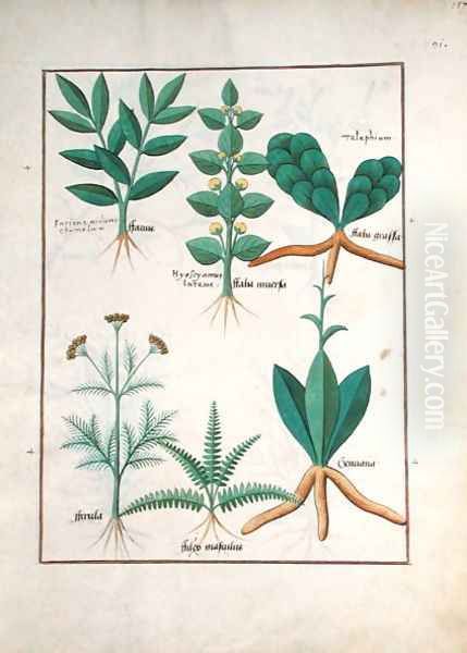 Ferns and Shrubs, Illustration from the Book of Simple Medicines by Mattheaus Platearius d.c.1161 c.1470 Oil Painting by Robinet Testard