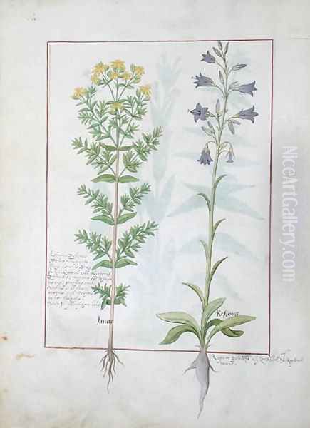 Two flowering plants from The Book of Simple Medicines by Mattheaus Platearius d.c.1161 c.1470 Oil Painting by Robinet Testard