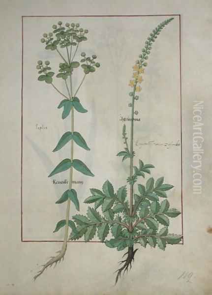 Reveille Matin and Agrimonia, illustration from The Book of Simple Medicines by Mattheaus Platearius d.c.1161 c.1470 Oil Painting by Robinet Testard