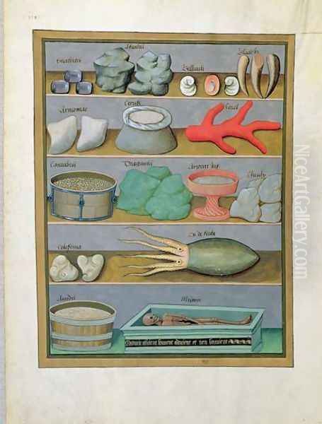 Illustration from the Book of Simple Medicines by Mattheaus Platearius d.c.1161 c.1470 15 Oil Painting by Robinet Testard