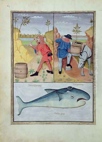 Illustration from the Book of Simple Medicines by Mattheaus Platearius d.c.1161 c.1470 45 Oil Painting by Robinet Testard