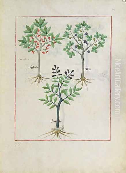 Illustration from the Book of Simple Medicines by Mattheaus Platearius d.c.1161 c.1470 6 Oil Painting by Robinet Testard