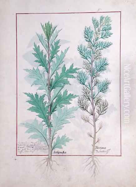 Two varieties of Artemesia, illustration from The Book of Simple Medicines by Mattheaus Platearius d.c.1161 c.1470 Oil Painting by Robinet Testard