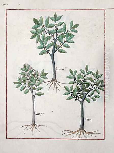 Illustration from the Book of Simple Medicines by Mattheaus Platearius d.c.1161 c.1470 12 Oil Painting by Robinet Testard